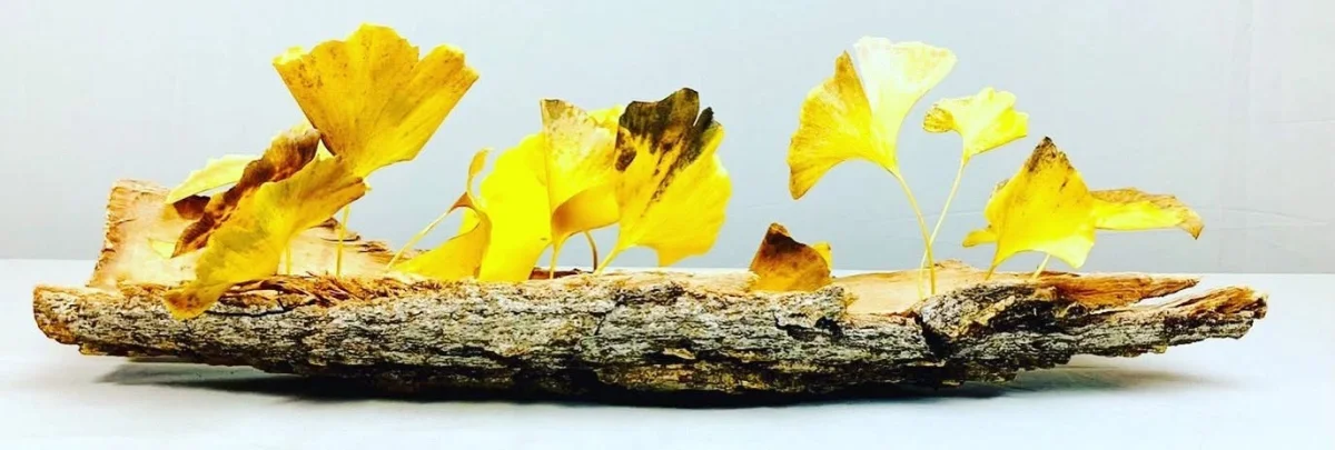Ikebana